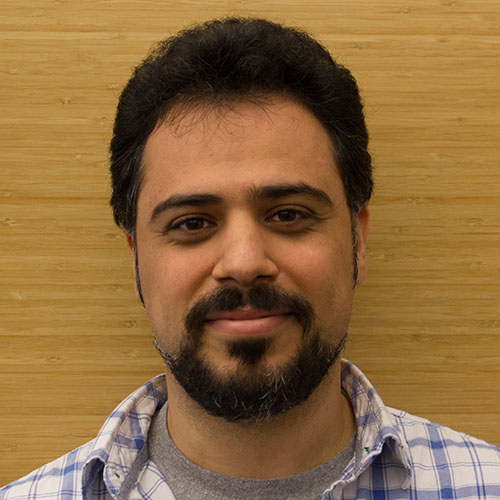 Hamed Bateni