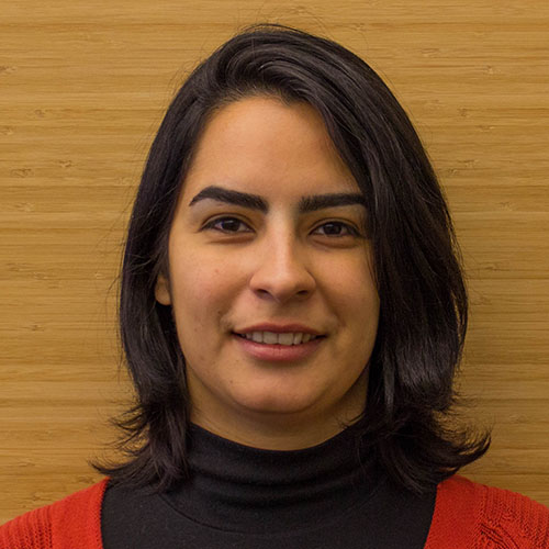 Sanaz Abdolmohammadi
