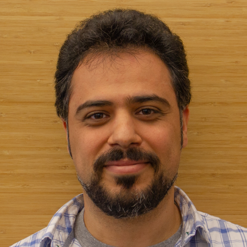 Hamed Bateni